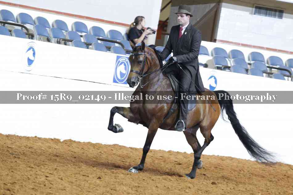 Proof Number 15R9_02149