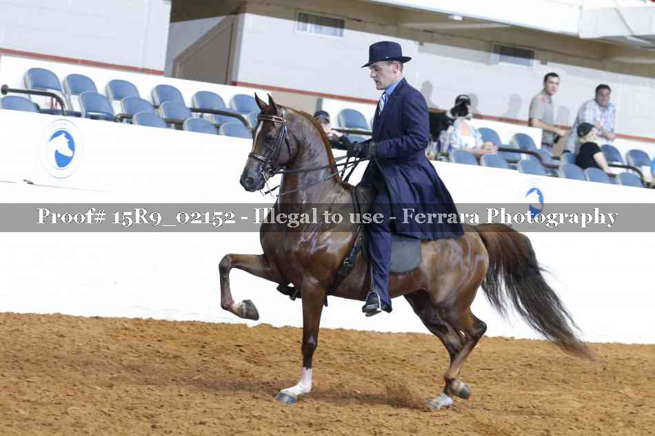 Proof Number 15R9_02152