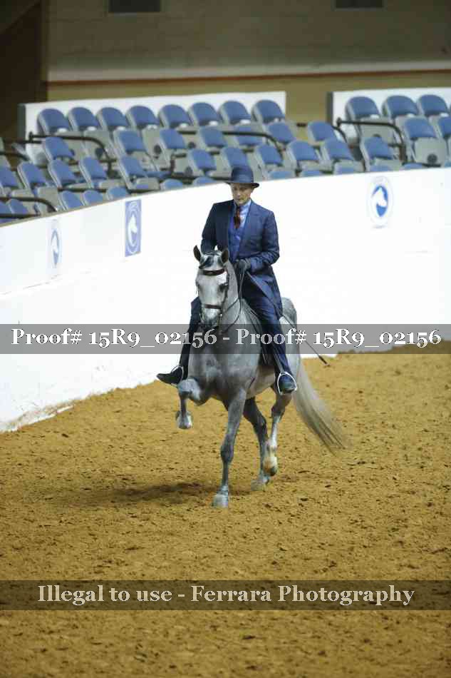 Proof Number 15R9_02156