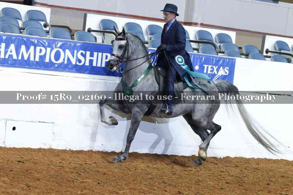 Proof Number 15R9_02160