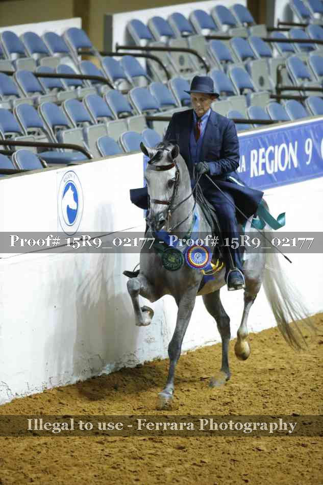 Proof Number 15R9_02177