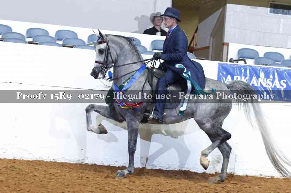 Proof Number 15R9_02179