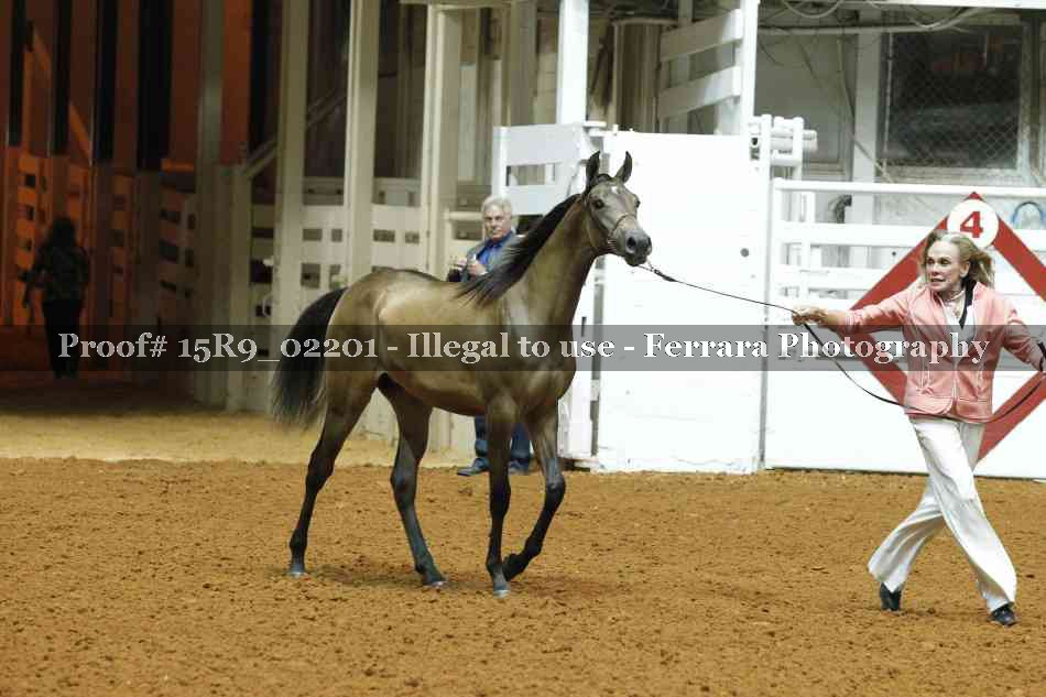 Proof Number 15R9_02201