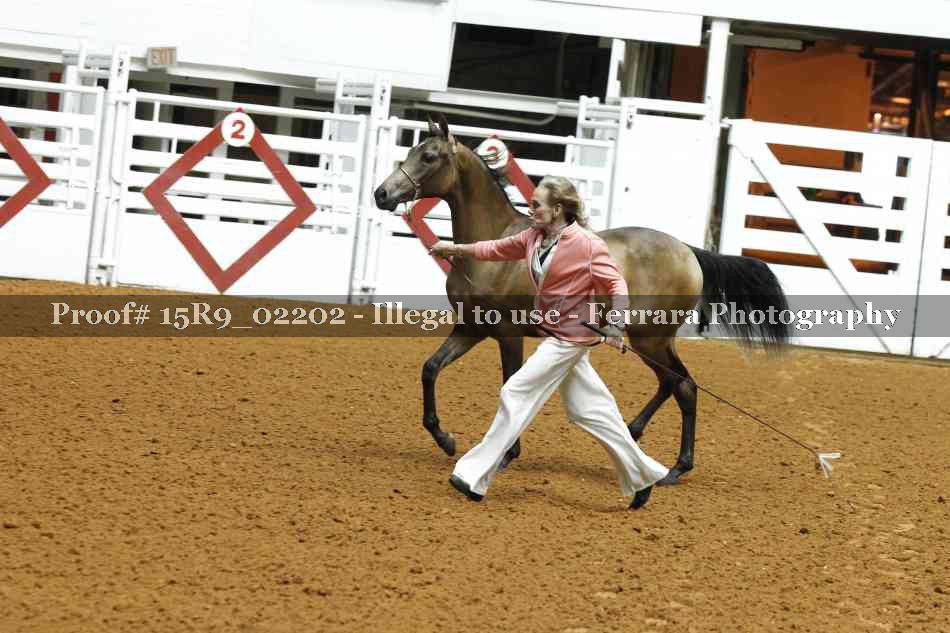Proof Number 15R9_02202