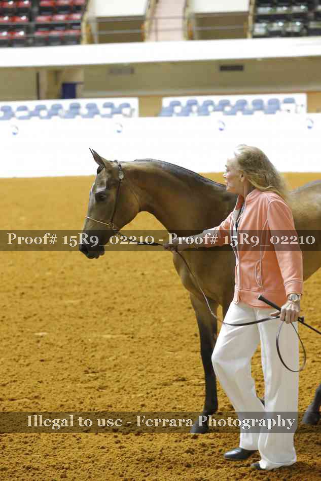 Proof Number 15R9_02210