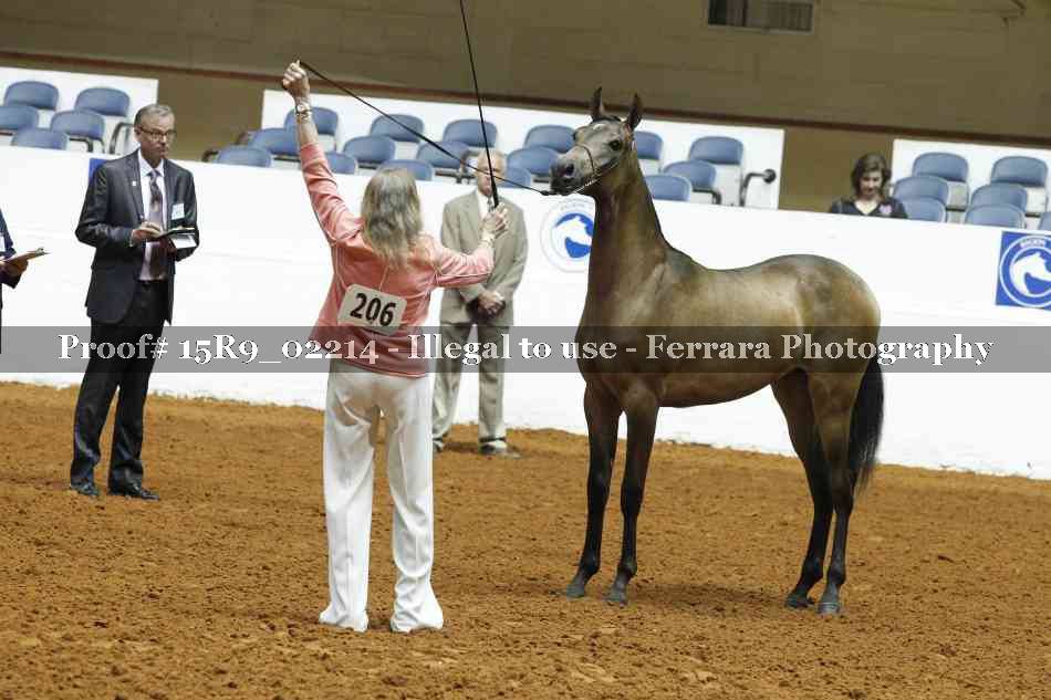Proof Number 15R9_02214