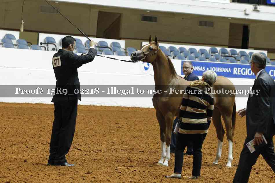 Proof Number 15R9_02218