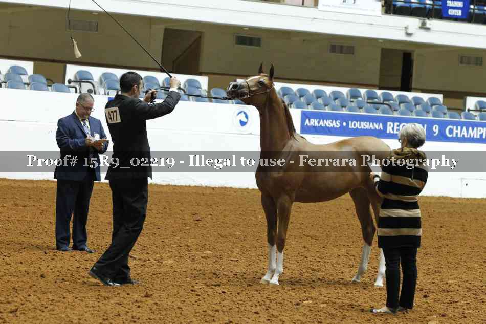 Proof Number 15R9_02219