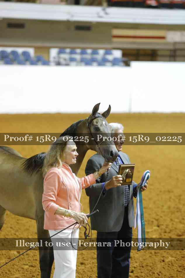 Proof Number 15R9_02225