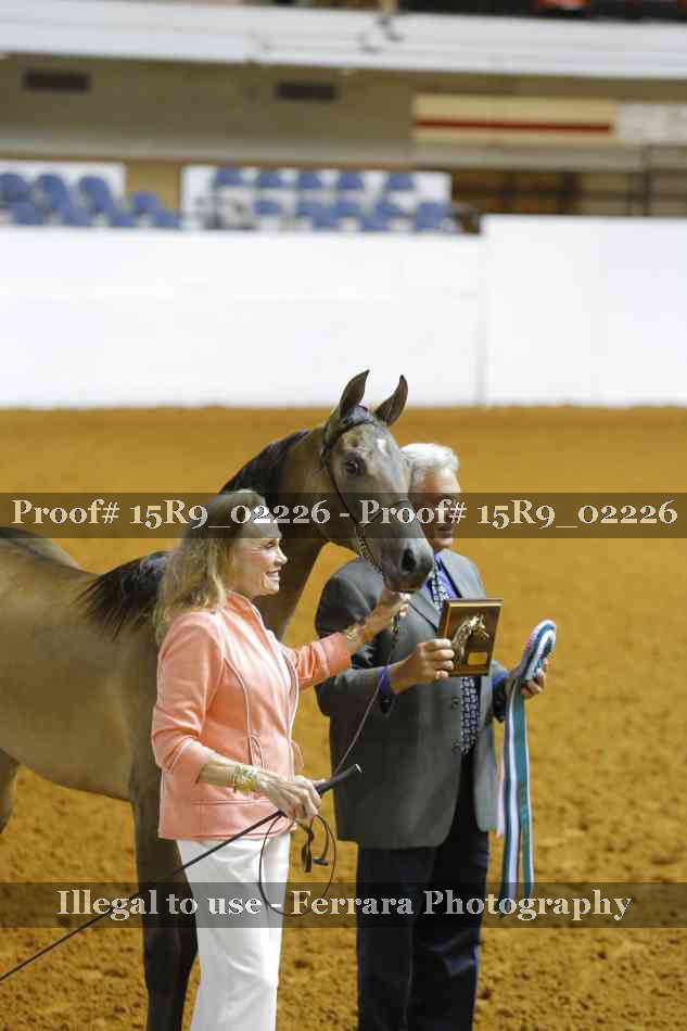 Proof Number 15R9_02226