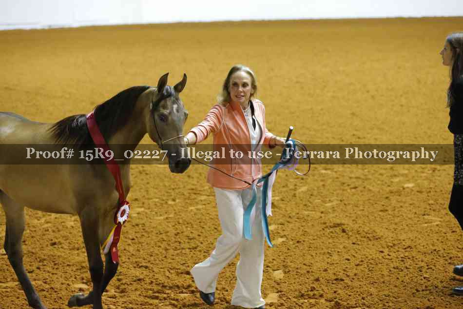 Proof Number 15R9_02227