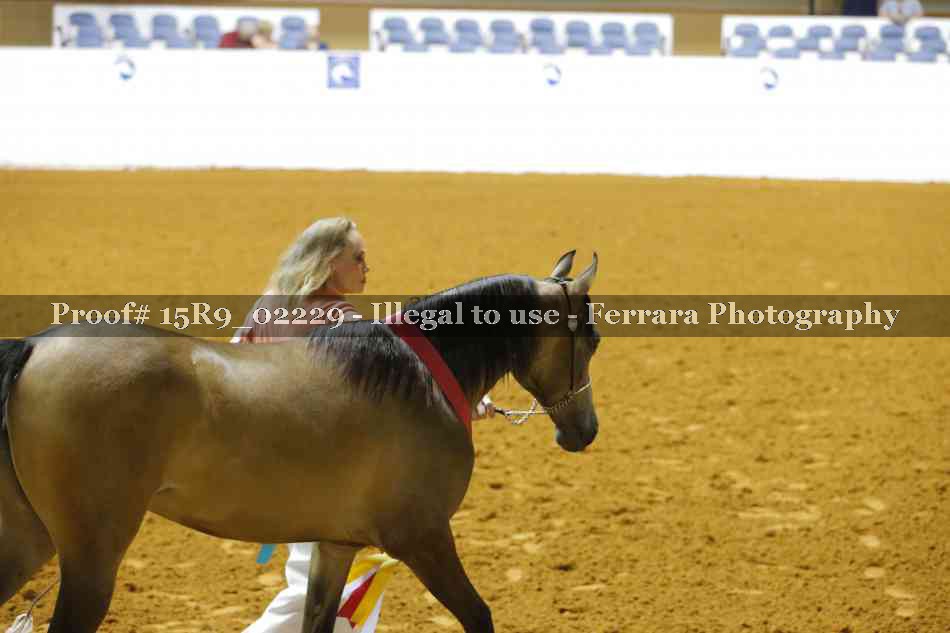 Proof Number 15R9_02229