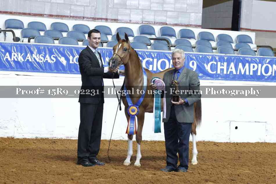 Proof Number 15R9_02231