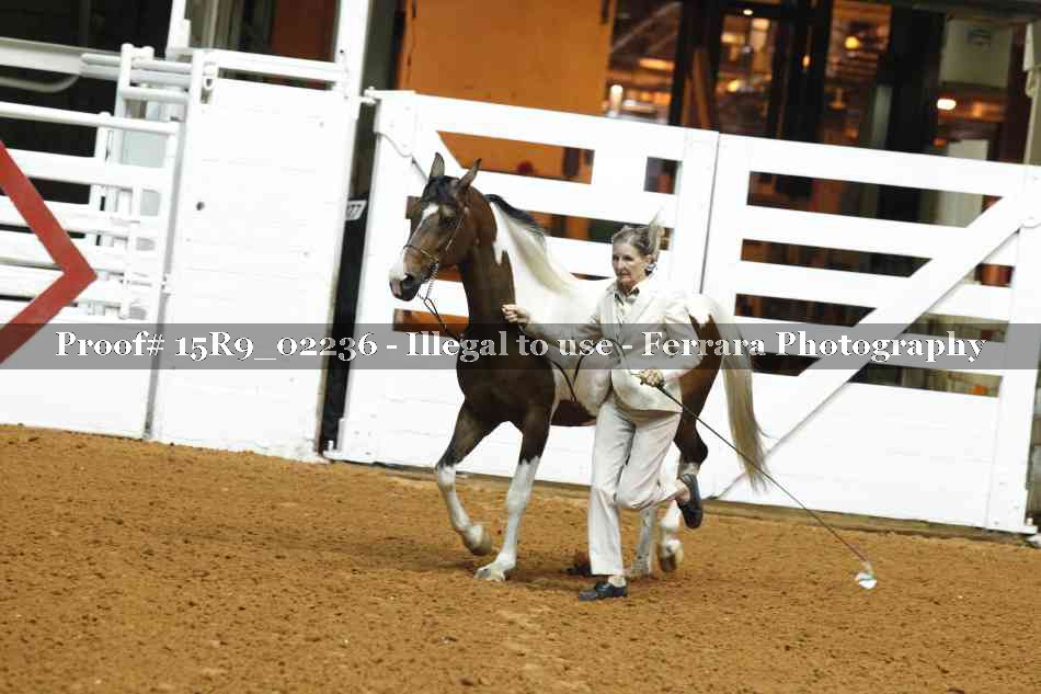 Proof Number 15R9_02236