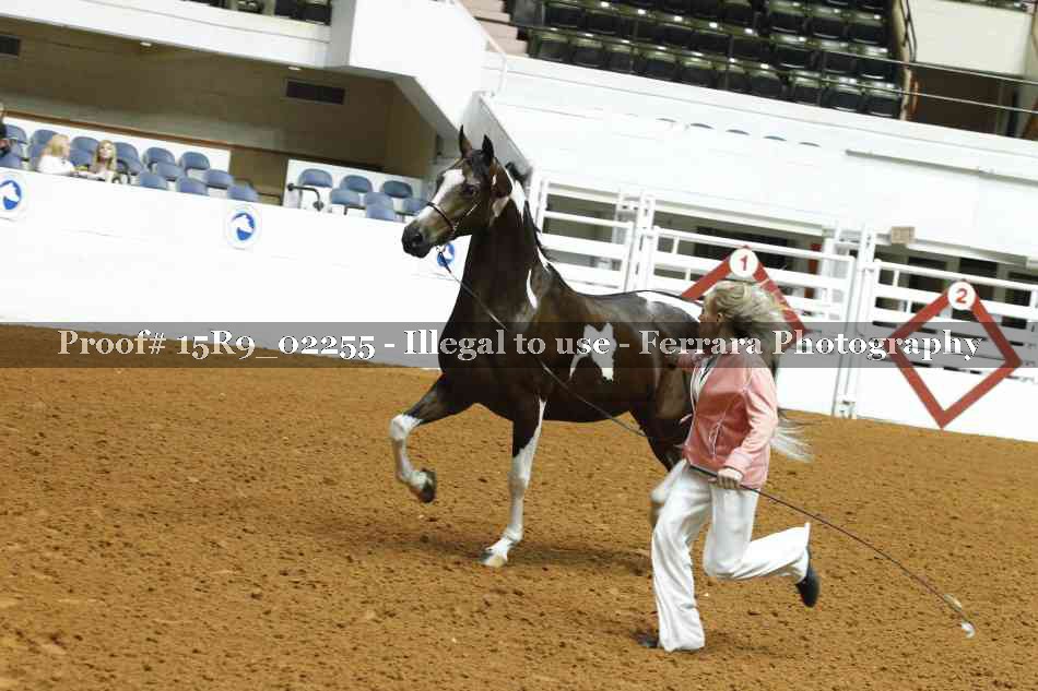 Proof Number 15R9_02255