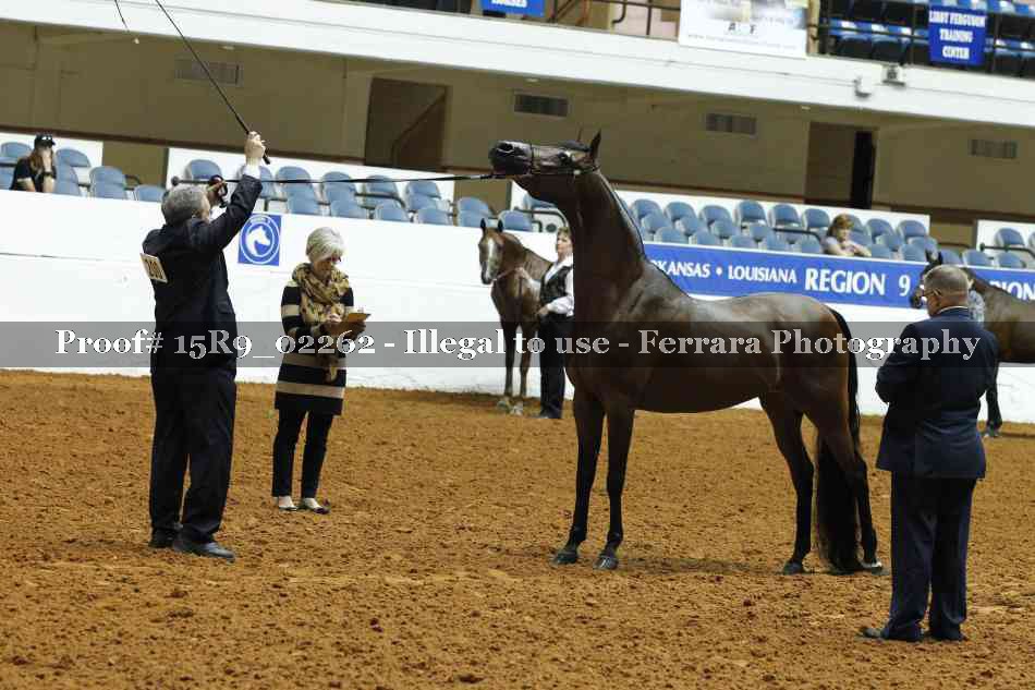 Proof Number 15R9_02262