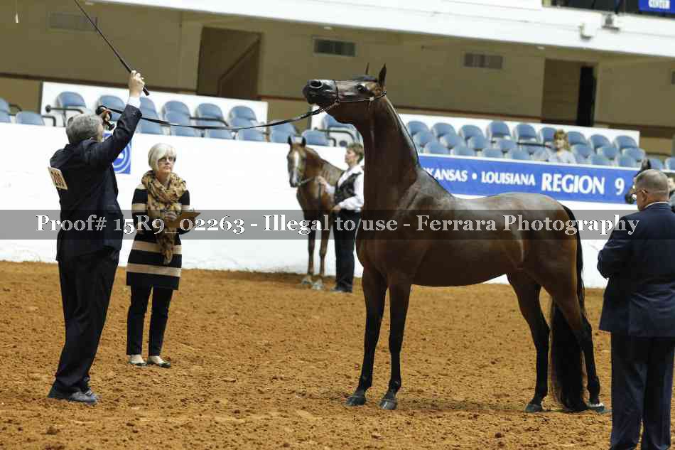 Proof Number 15R9_02263
