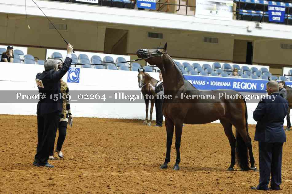Proof Number 15R9_02264