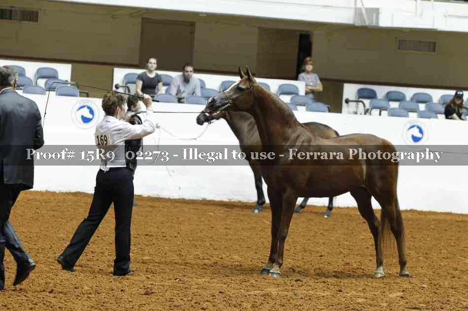 Proof Number 15R9_02273