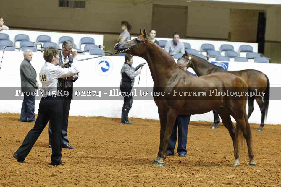 Proof Number 15R9_02274