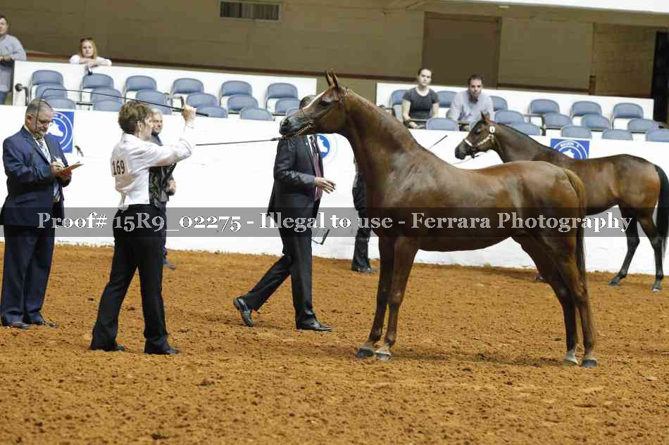 Proof Number 15R9_02275
