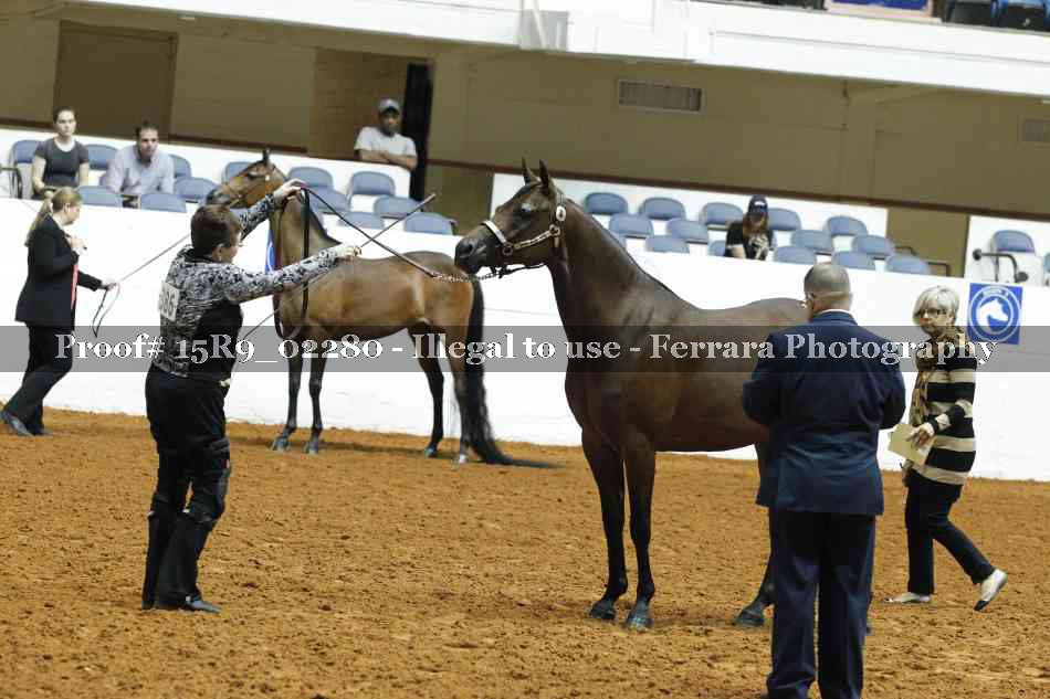 Proof Number 15R9_02280