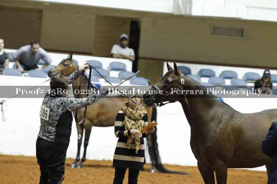 Proof Number 15R9_02281