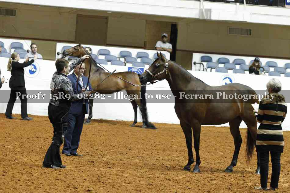 Proof Number 15R9_02282