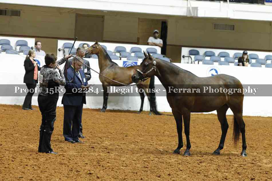 Proof Number 15R9_02284