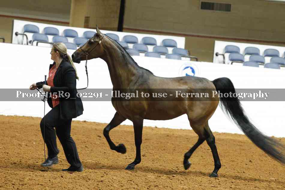 Proof Number 15R9_02291