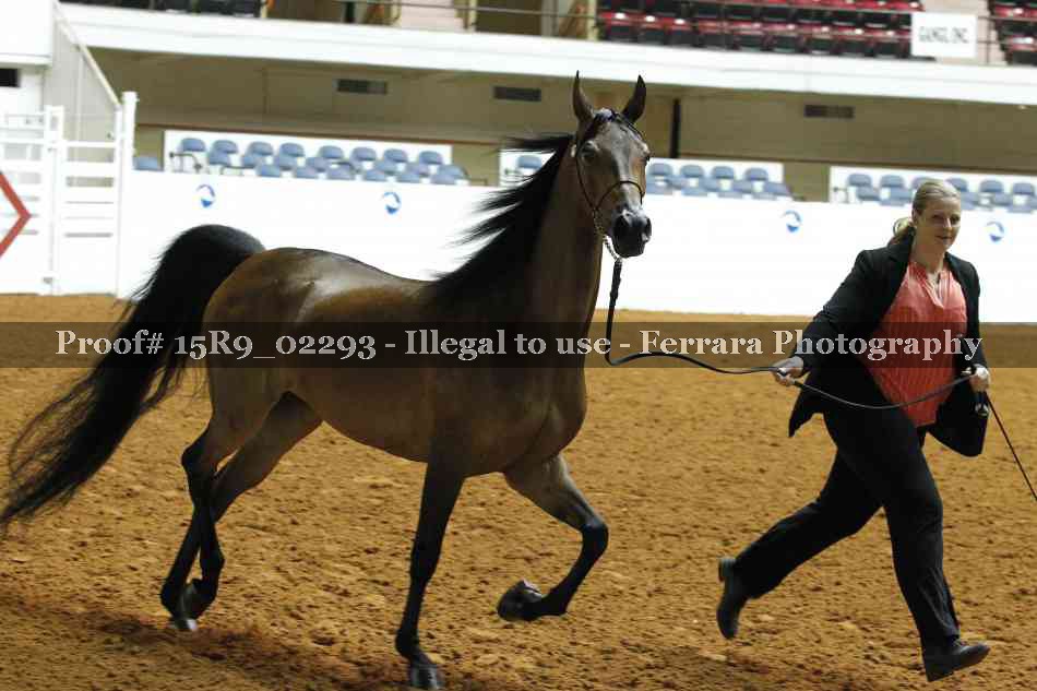 Proof Number 15R9_02293