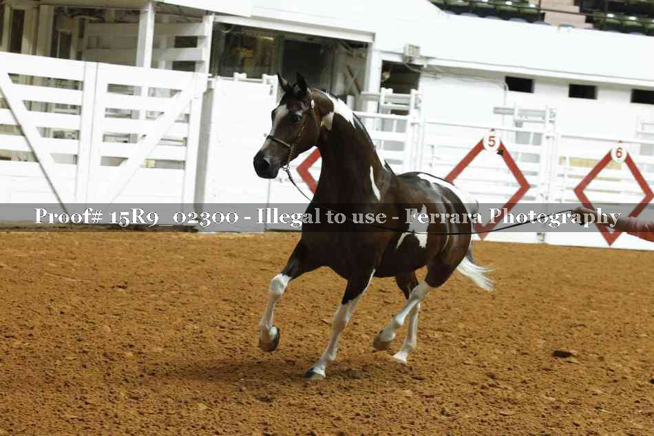 Proof Number 15R9_02300