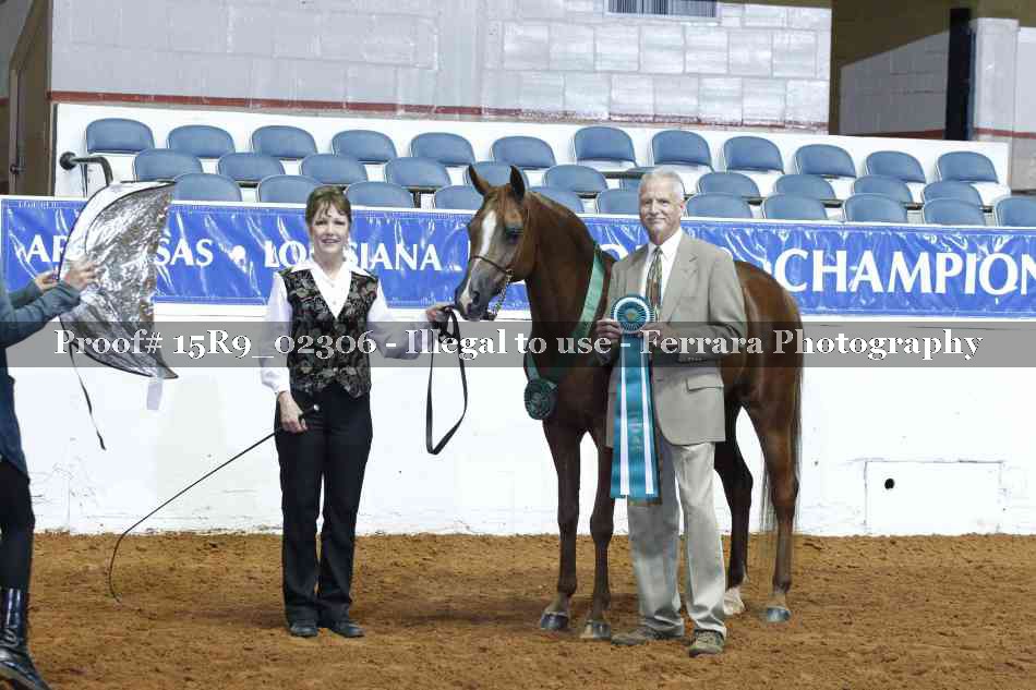 Proof Number 15R9_02306