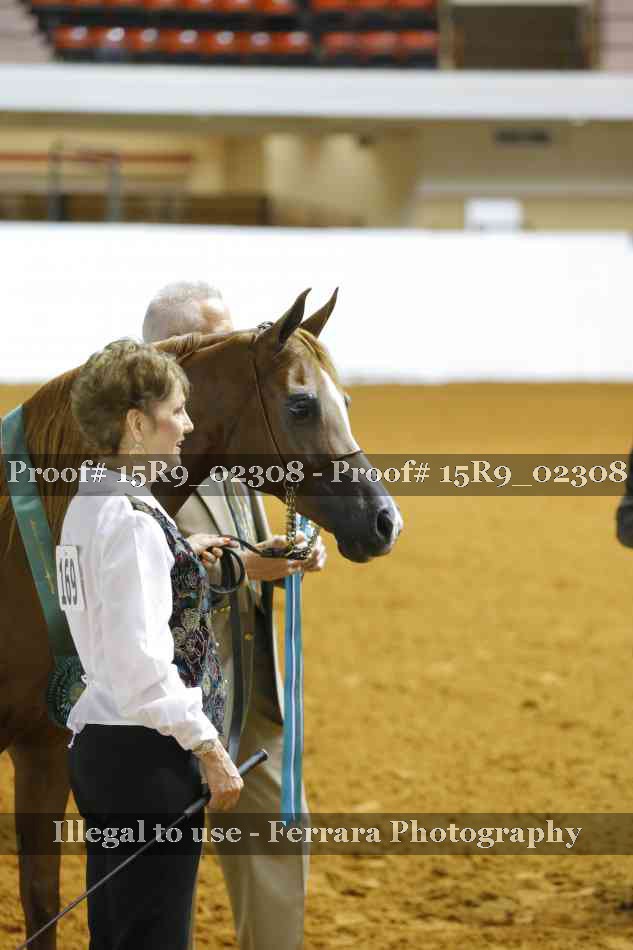 Proof Number 15R9_02308