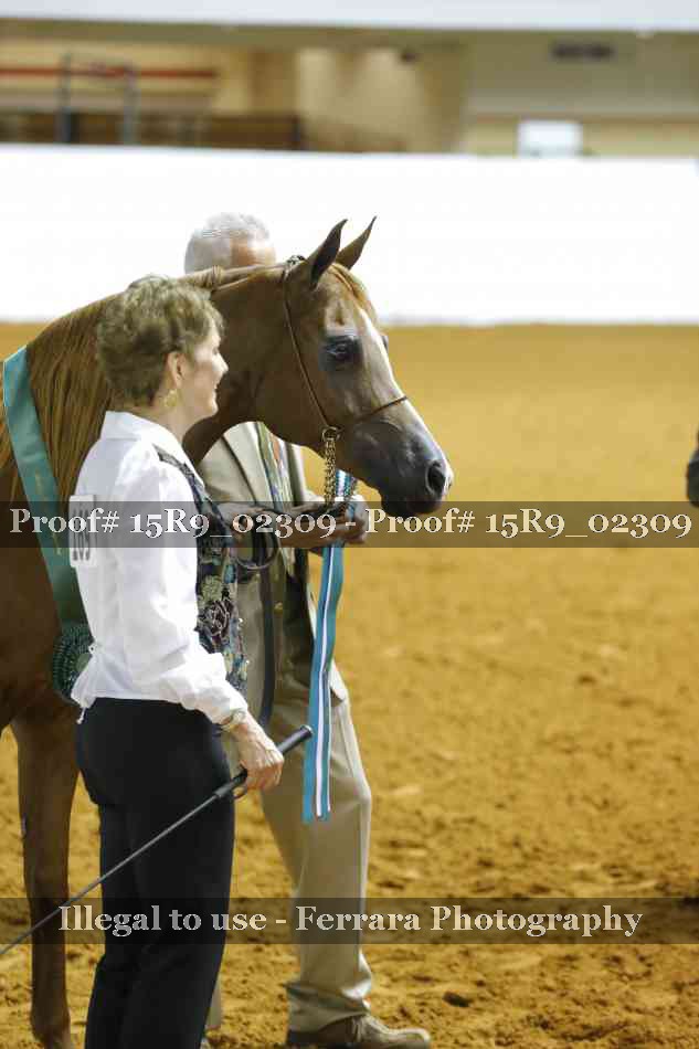 Proof Number 15R9_02309