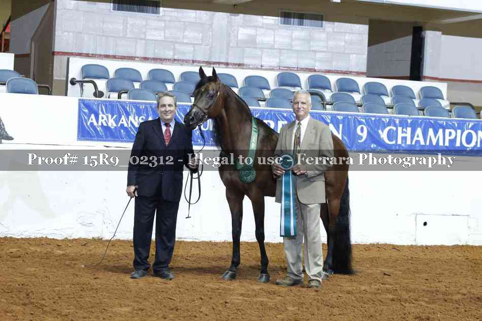 Proof Number 15R9_02312