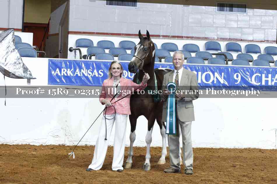 Proof Number 15R9_02315
