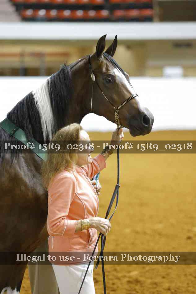 Proof Number 15R9_02318