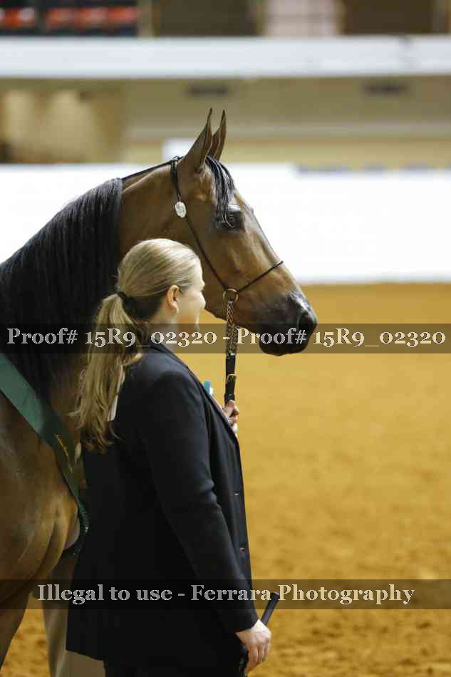Proof Number 15R9_02320