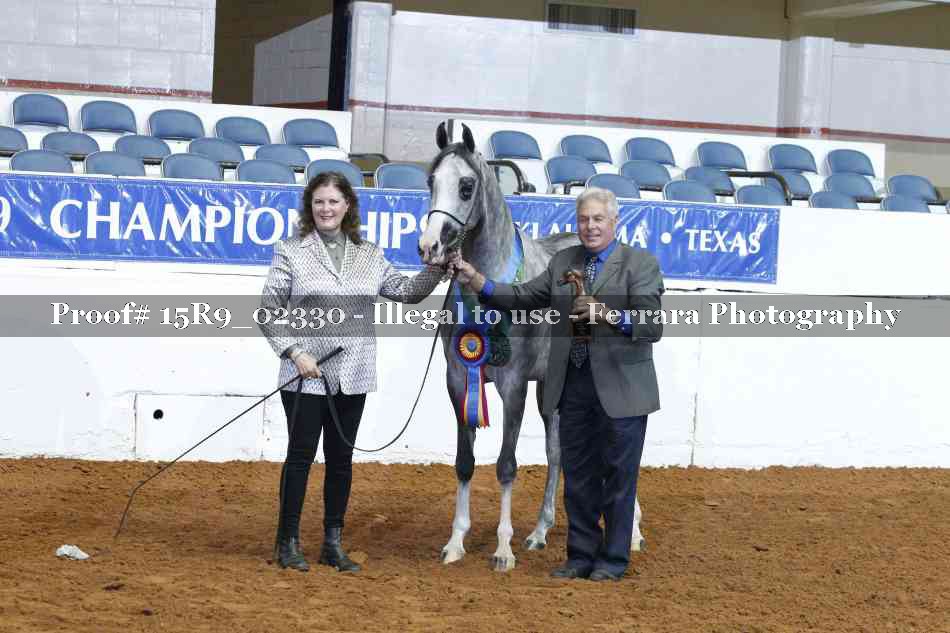 Proof Number 15R9_02330