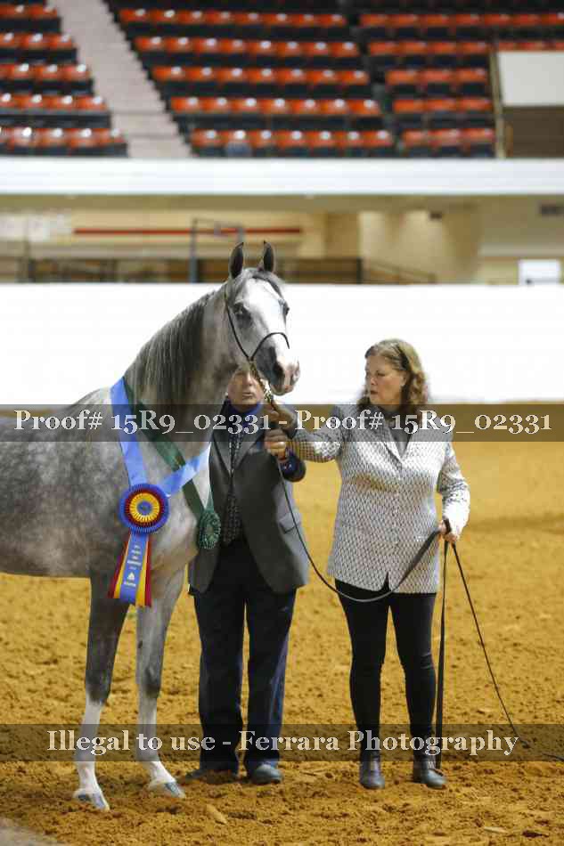 Proof Number 15R9_02331