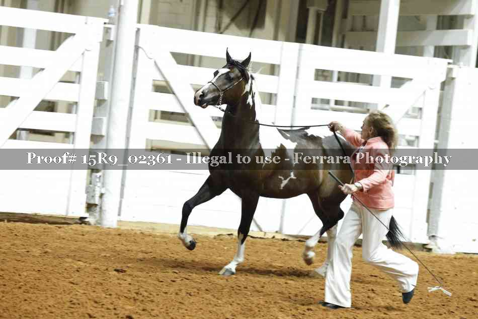 Proof Number 15R9_02361