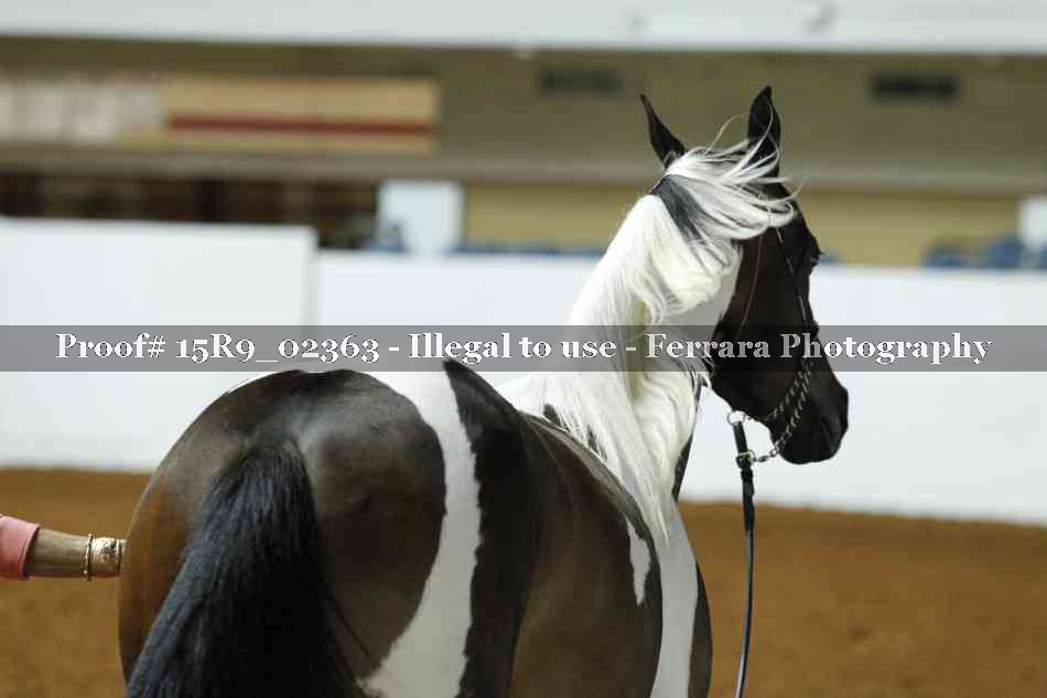 Proof Number 15R9_02363