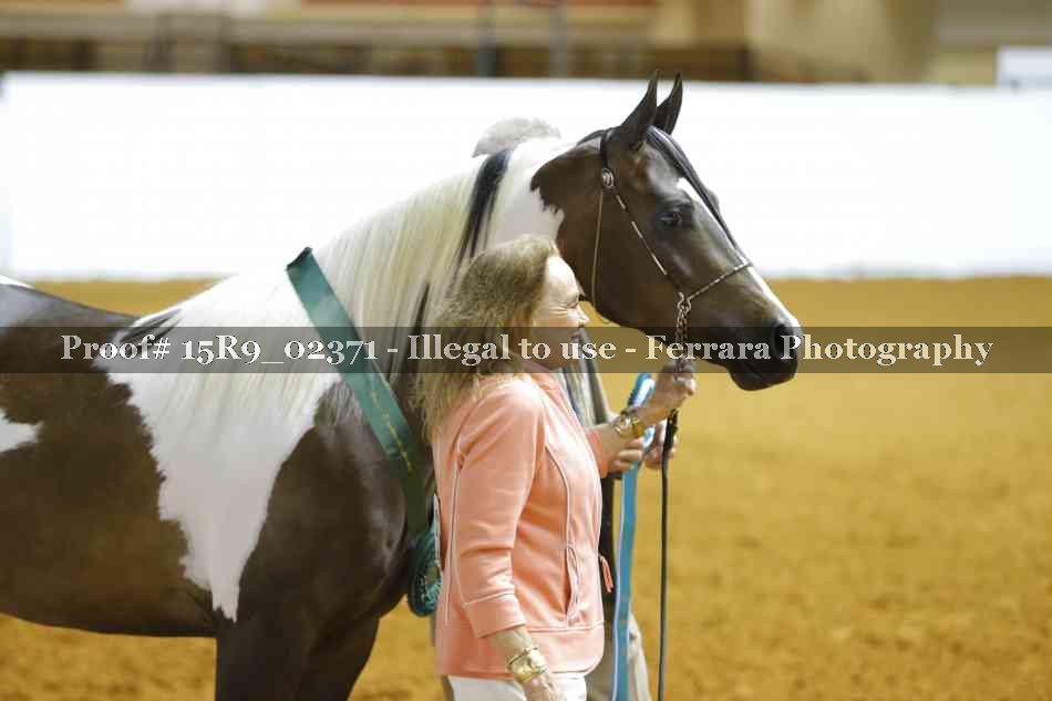 Proof Number 15R9_02371