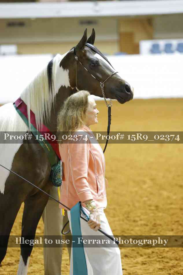 Proof Number 15R9_02374