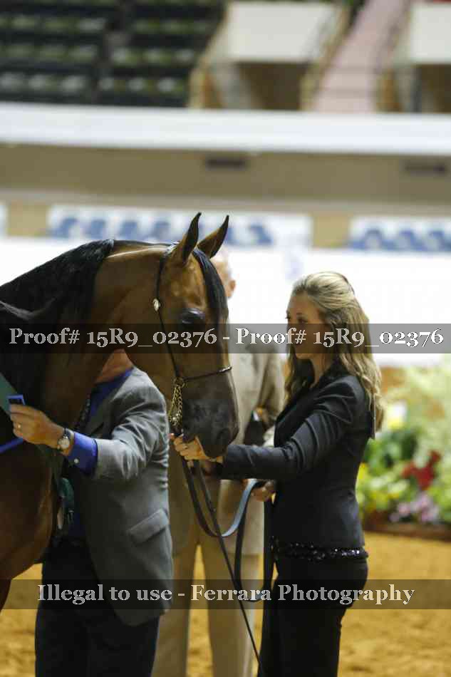 Proof Number 15R9_02376