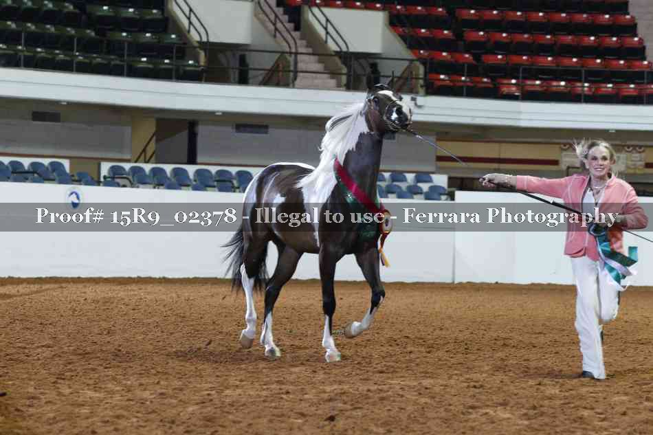Proof Number 15R9_02378