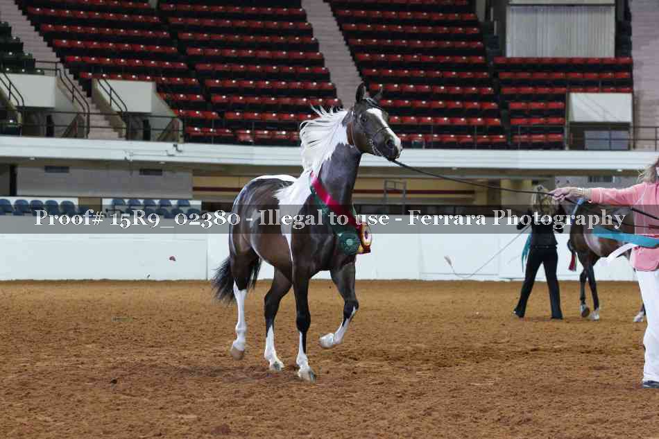 Proof Number 15R9_02380