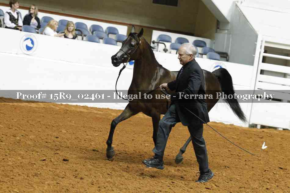 Proof Number 15R9_02461