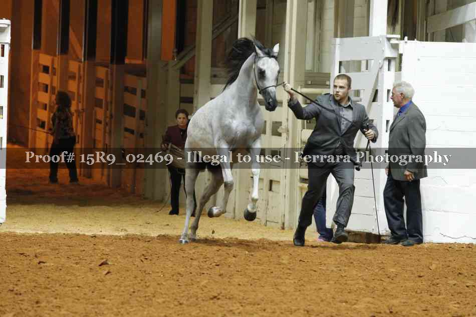 Proof Number 15R9_02469